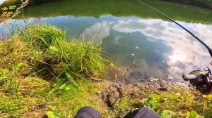 Такого на рыбалке я ещё не видел! Рыба клюёт сильно и заводит в коряги! Спиннинг с берега.