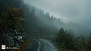 ПРЕМЬЕРА ПЕСНИ "Жизнь, жизнь..."