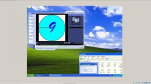 разликаемся на вирте мурзика котикова