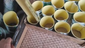 Кручу стаканчики. Дневник за 11 апреля