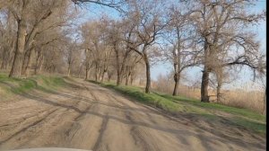 Первая рыба в этом году.