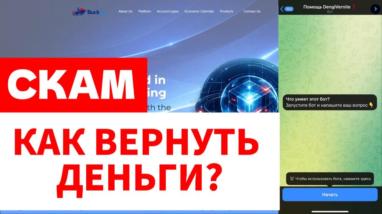 Bucksa (bucksa.com, Area.bucksapro.com) обзор, отзывы. Лжеброкер?