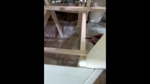 Полки в баню из осины на заказ по размерам заказчика,контрольная сборка в цеху и конечный результат