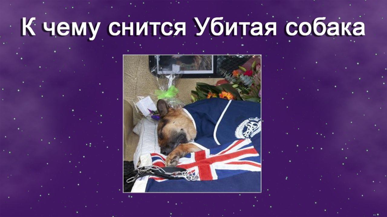 К чему снится Убитая собака - толкование сна