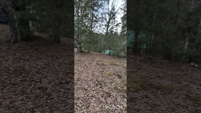Три пескаря .mp4