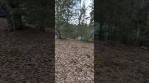 Три пескаря .mp4