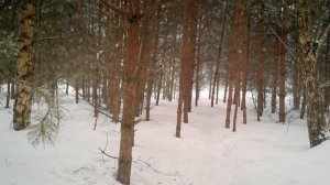 Denairus - Идет снег