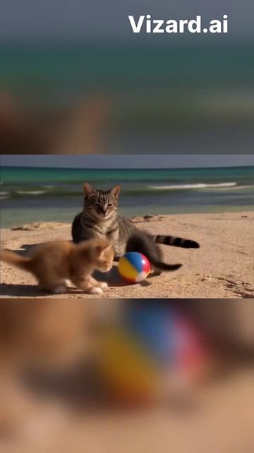 Кошки на велосипедах_ Самое милое пляжное приключение в истории!