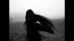 Lieless - Till the end