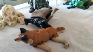 завтра будет фаска