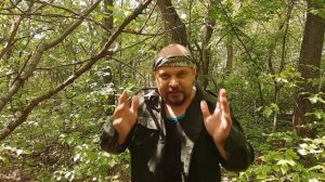 Как защититься от дикого кабана в лесу