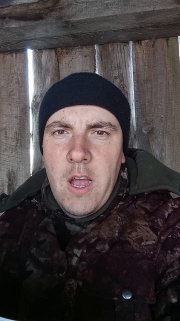 АВТОРСКИЙ СТИХ КОЛЯ.mp4