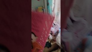 VID_20260411_111845.mp4