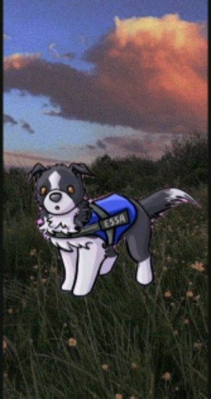 трансляция что я возьму для себя к бабушке?