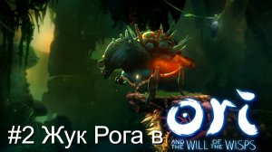 #2 Жук Рога в Ori and the Will of the Wisps