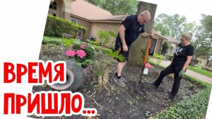 Фальконе - Сажаем Гортензии с Винсентом… #натальяфальконе #usa #сша