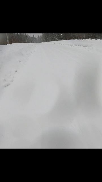 «Снегопад как загадка»