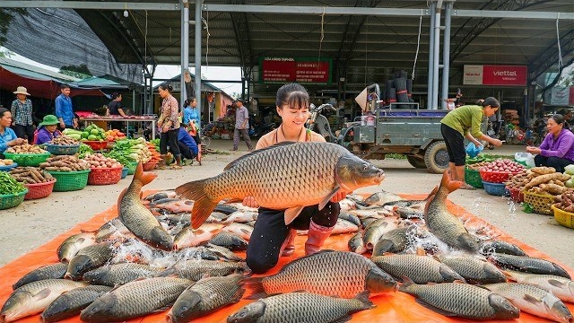 Покупаю карпа на рыбной ферме и везу на трицикле продавать сельчанам. Фуонг. Жизнь во Вьетнаме