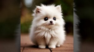 Счастье живет рядом с нами