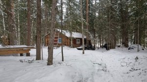 МЕТКА 1859 ГОДА: нашли дерево, которому более 165 лет! Поиск шатунов в сибирских болотах.