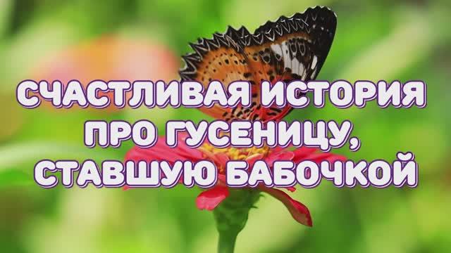 03 Счастливая История про гусеницу, ставшую бабочкой. Рассказывает историю Аида