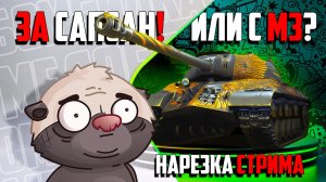 КАТАЮСЬ НА САПСАНЕ | НАРЕЗКА обкатки Сапсан с МЗ