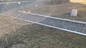 Борьба с мхом на газоне