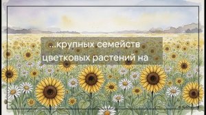 Биология 7 класс 13 КЛАСС ДВУДОЛЬНЫЕ СЕМЕЙСТВА ПАСЛЁНОВЫЕ МОТЫЛЬКОВЫЕ БОБОВЫЕ И СЛОЖНОЦВЕТНЫЕ