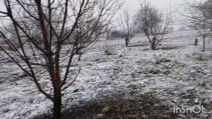 БАРДАК ОДНАКО