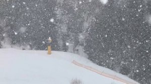 Весеннее путешествие Тольятти - Волгоград - Псебай - Домбай - Гуамское ущелье - Шеленджик