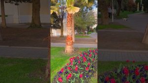 Апрельский закат в Геленджике