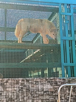 макияжи❤
АсмР