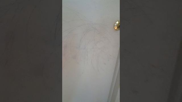 прятки часть 3 и чудо кухня