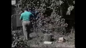 ФИЛЬМ О ТОМ, КАК ЧЕЛОВЕК ВЫЛЕЧИЛ РАК КАМЕННЫМ... - Александр Красковский