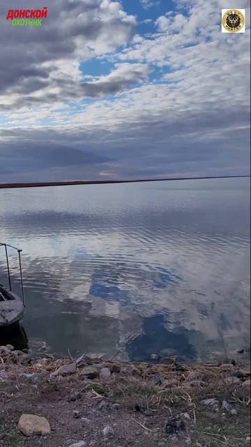 Охота на гуся - Гусь есть и это радует