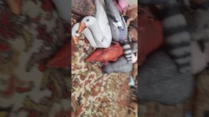 2 серия те самые которые двое