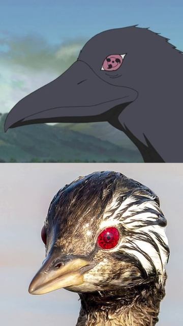 ПТИЦА С ШАРИНГАНОМ НА ГЛАЗАХ