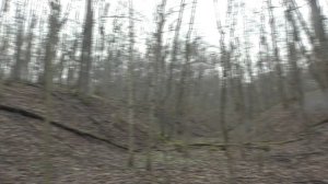 2 Часть Весна Набирает Обороты Апрель. От 11 04 2026 г.