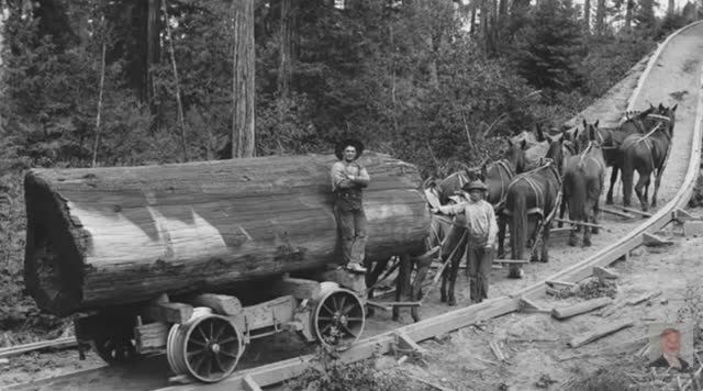 ИСТОРИЯ АМЕРИКАНСКИХ ЖЕЛЕЗНЫХ ДОРОГ...