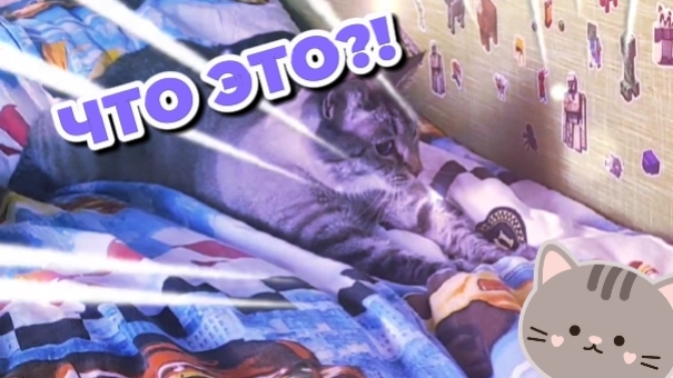 ❤😻🔥Аксель удивлён: что это шевелится под одеялом?🙀😹😍