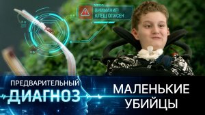 Маленькие убийцы. Как обезопасить себя в сезон клещей?