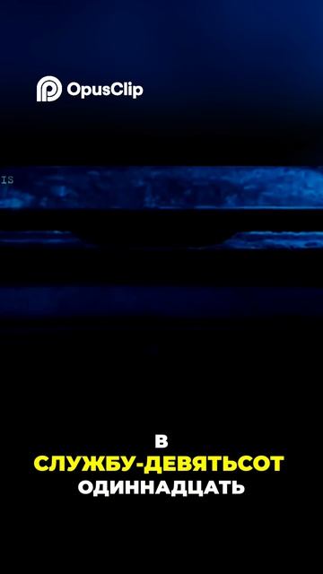 Звонок 911: Похищение ребёнка или недоразумение?