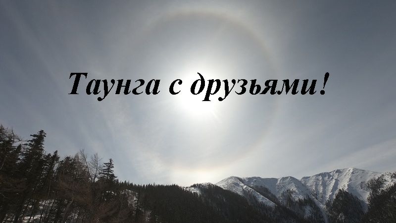 Таунга с друзьями всегда веселей!