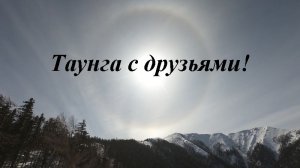 Таунга с друзьями всегда веселей!