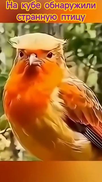 Кого напоминает 🤨 #юмор #meme #funny   #shorts