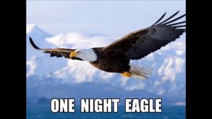 ONE  NIGHT  EAGLE  живым...   акустика