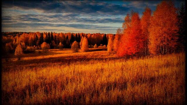 Отговорила роща золотая.Есенин.