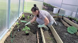 334 ВЫНОШУ ВСЁ ИЗ ДОМА. ВЕСЬ ДЕНЬ РАБОТАЮ НА УЧАСТКЕ. Вызвали проектировщиков. Жизнь на юге.