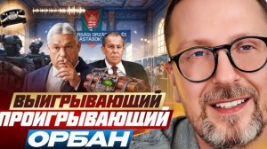 Шарий: Выборы в Венгрии