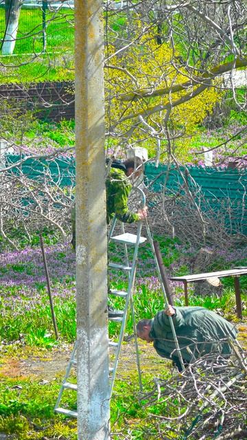 Реальные пацаны против Грецкого Ореха